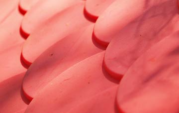 Kingsley plastic roof costs