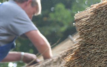 professional Kingsley thatchers